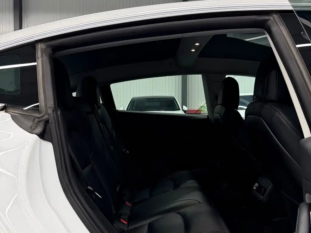 Tesla Model 3 — миниатюра 5