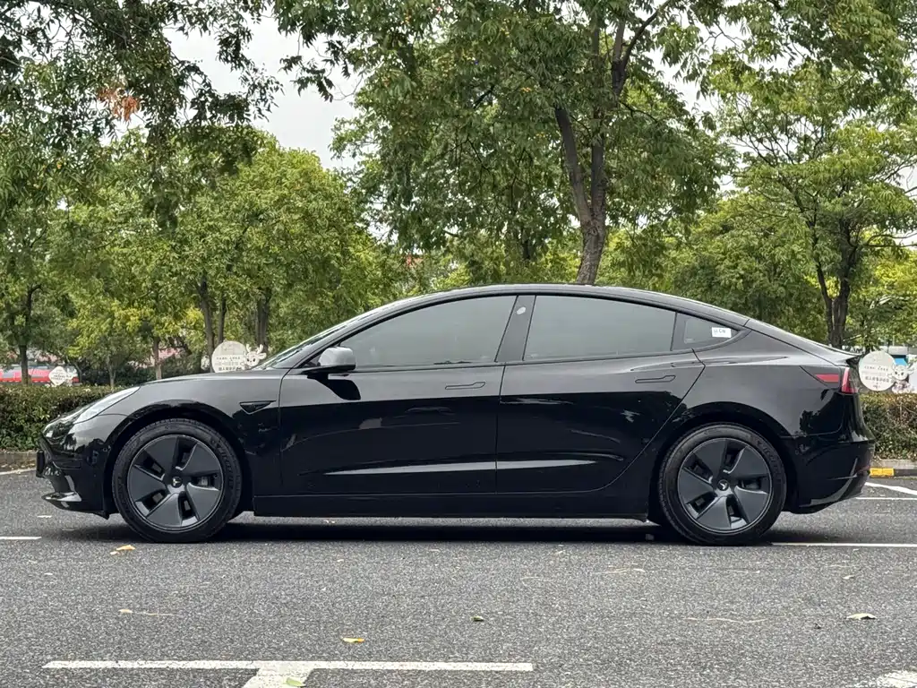 Tesla Model 3 — миниатюра 3