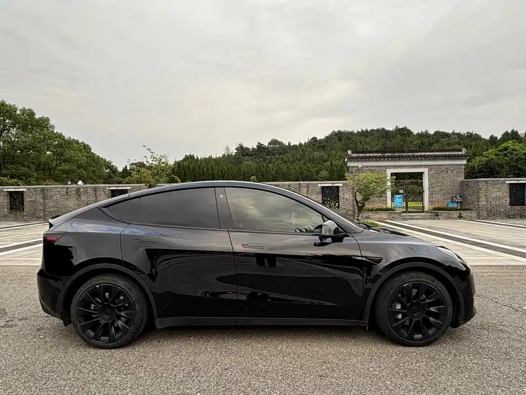 Tesla Model Y — миниатюра 4