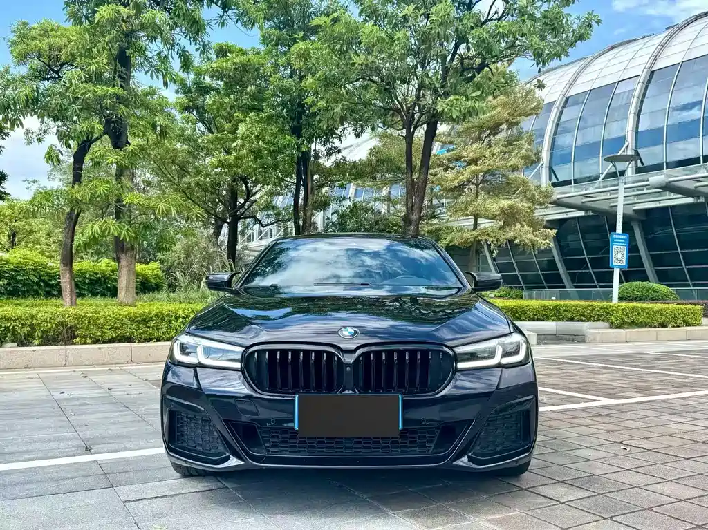BMW 5 Series 5 2022 530Li Premium M Sport