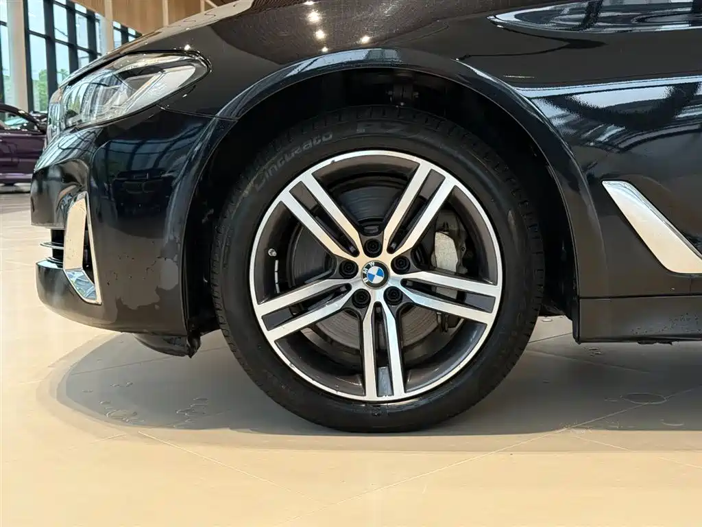 BMW 5 Series 5 2021 530Li Lead Luxury