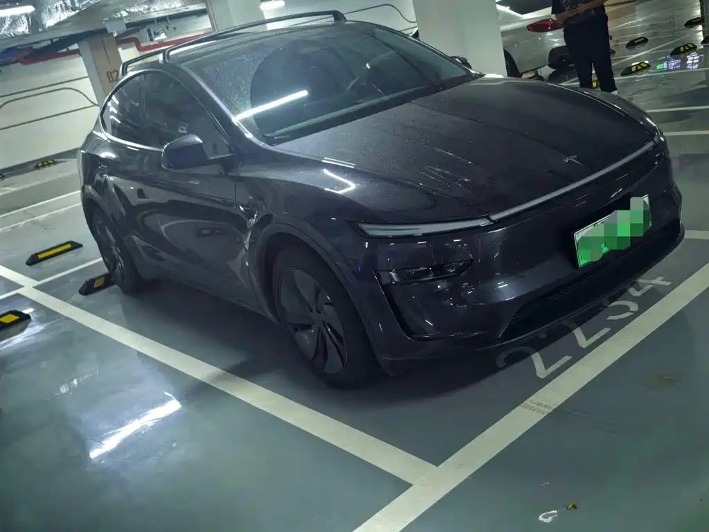 Tesla Model Y — миниатюра 3