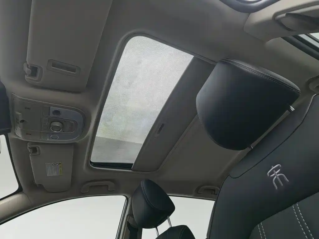 BYD New Energy — миниатюра 14