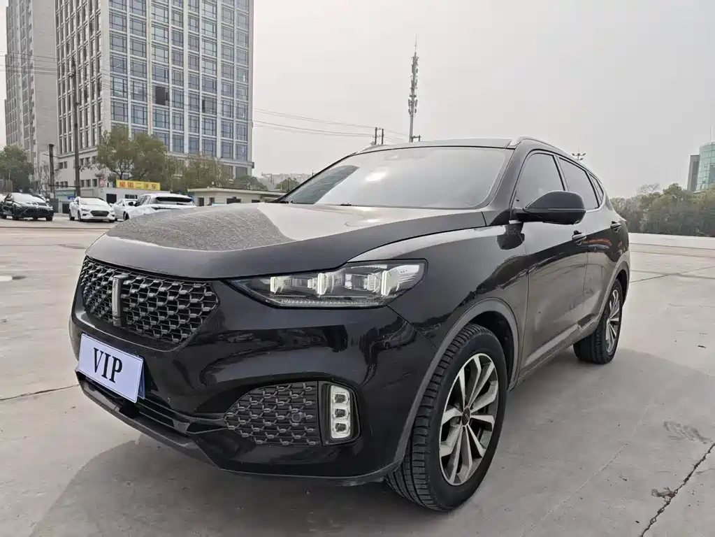 Wey Wey VV6 2020