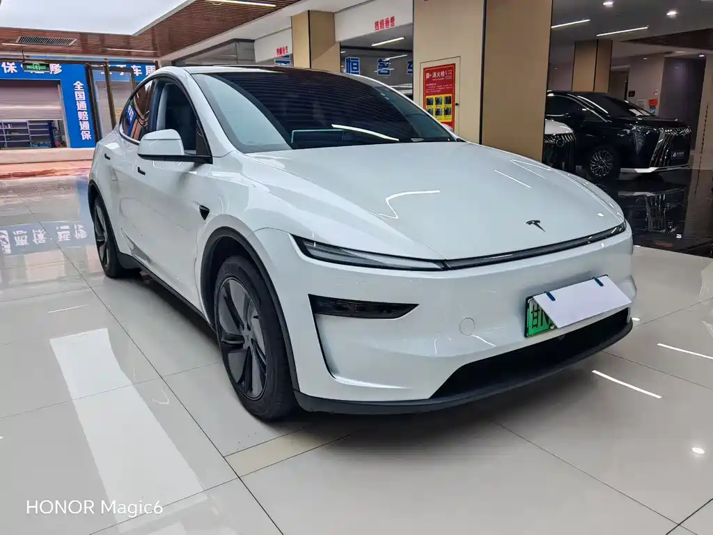 Tesla Model Y — миниатюра 3