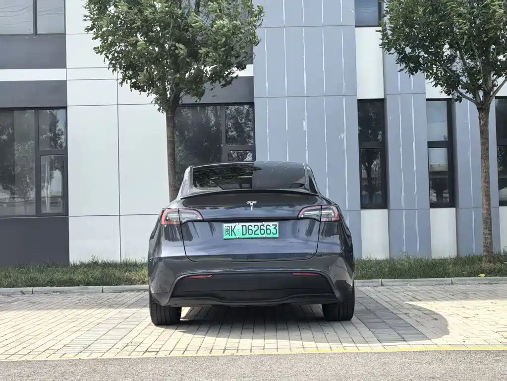 Tesla Model Y — миниатюра 8