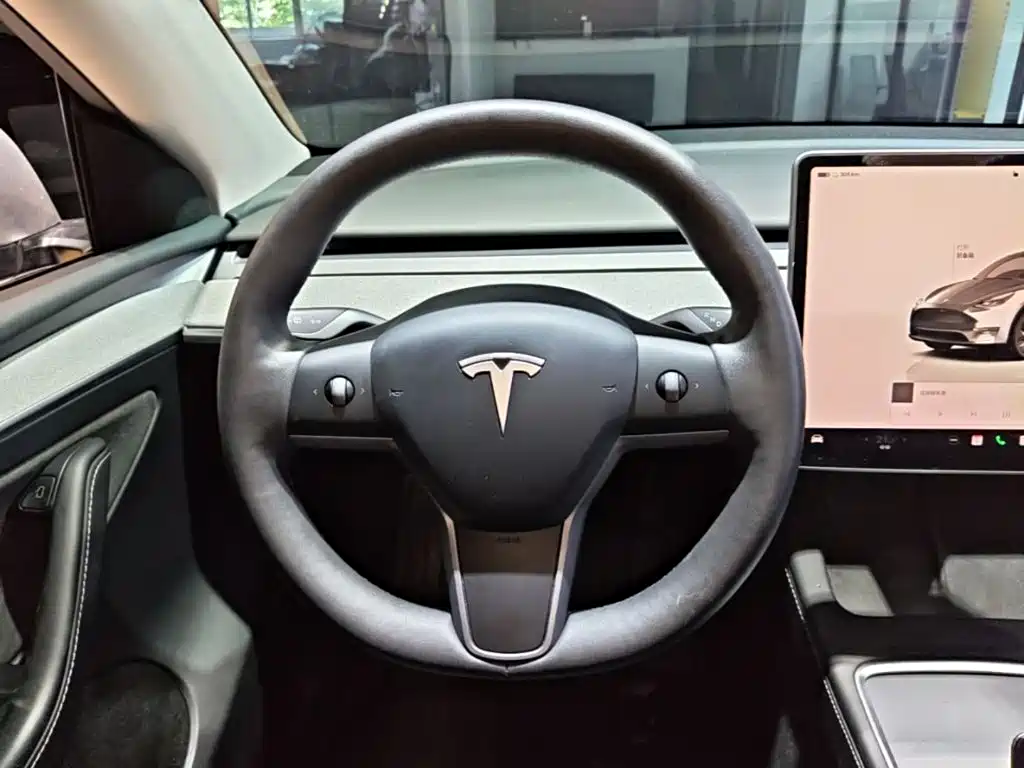Tesla Model Y — миниатюра 11