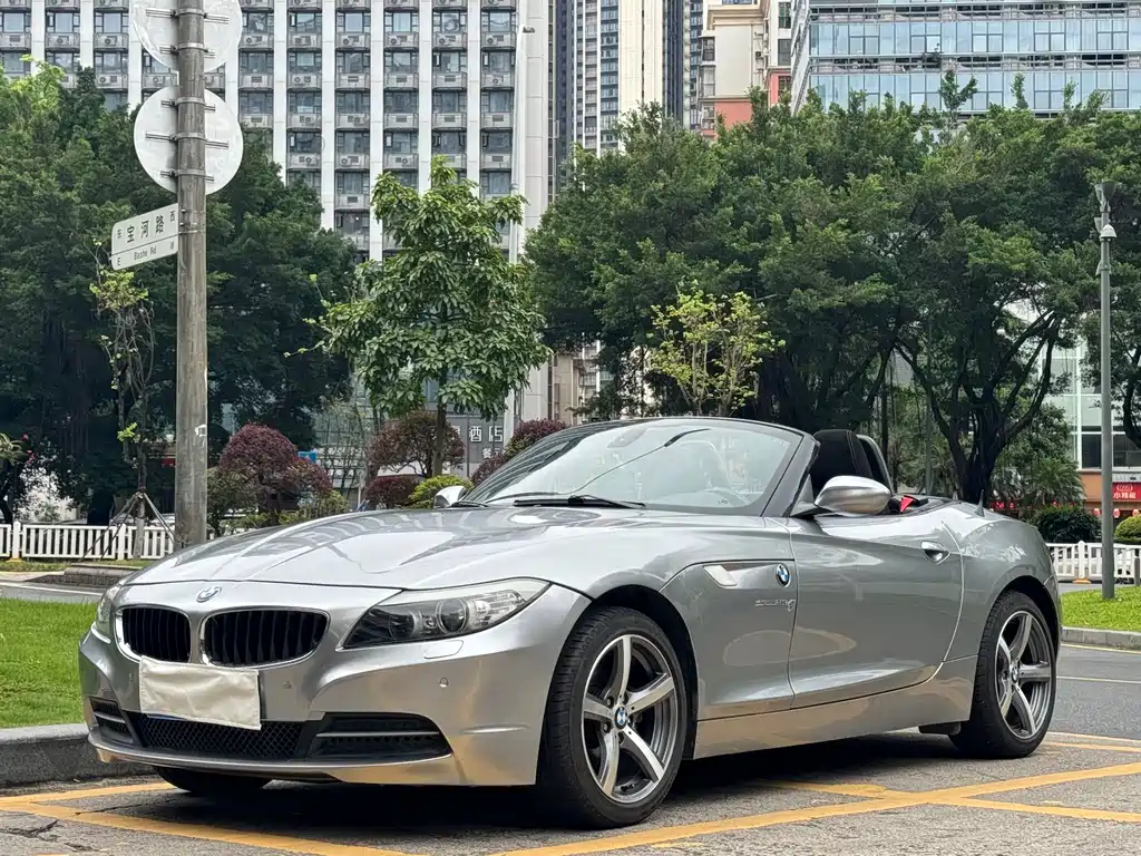BMW Z4 2010