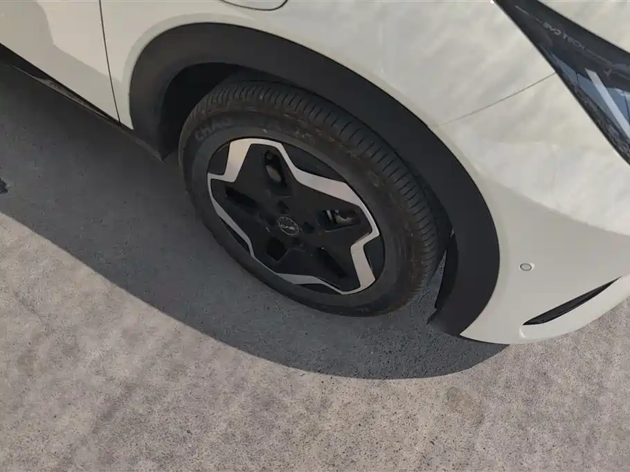 BYD Dolphin 2025 Smart Drive 420km Freedom