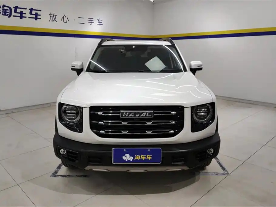 HAVAL BIG DOG