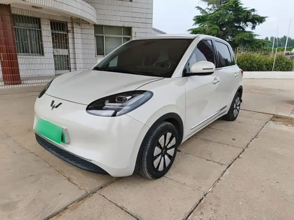 Wuling Binguo