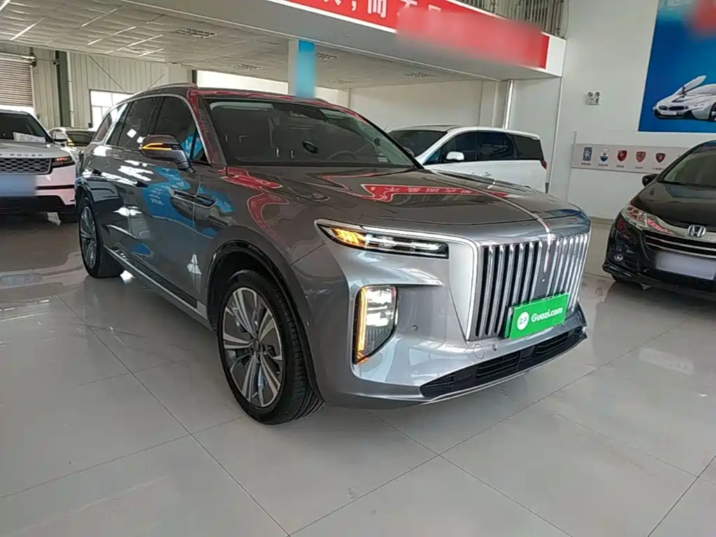 Hongqi Hongqi E-HS9 — миниатюра 4