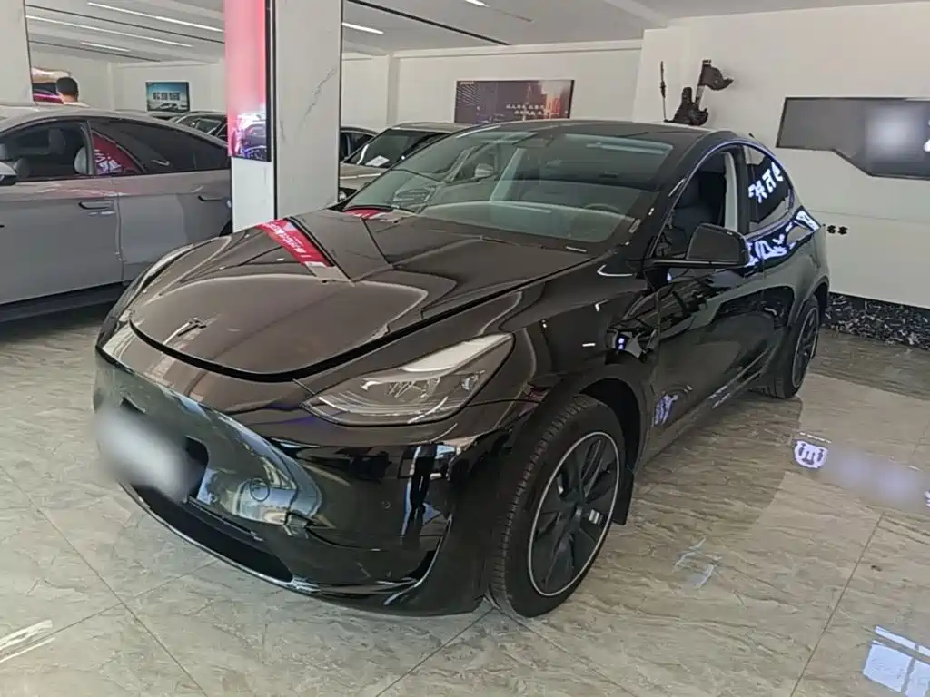 Tesla Model Y — миниатюра 2
