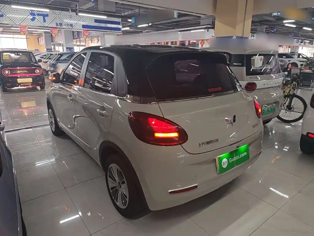 Wuling Binguo 2024 203km