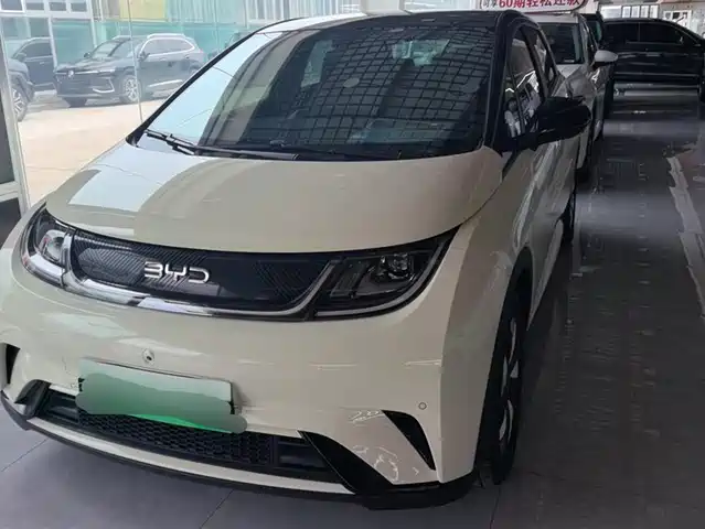 BYD DOLPHIN 2024