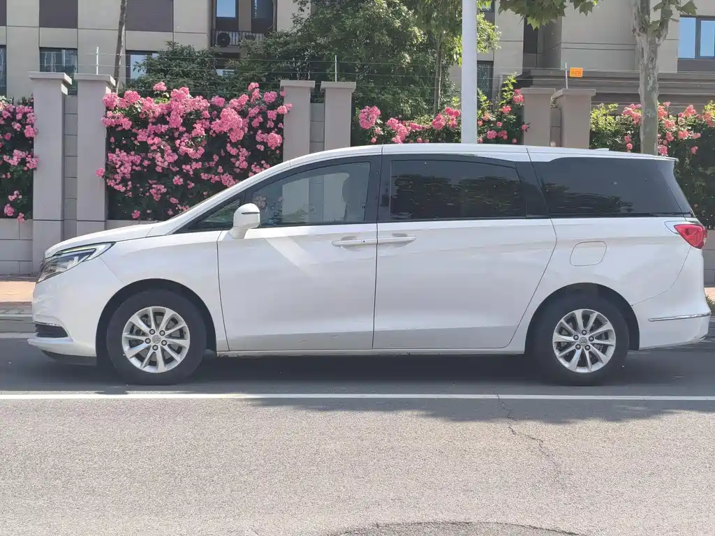 Buick GL8 2017 ES 28T Luxury V