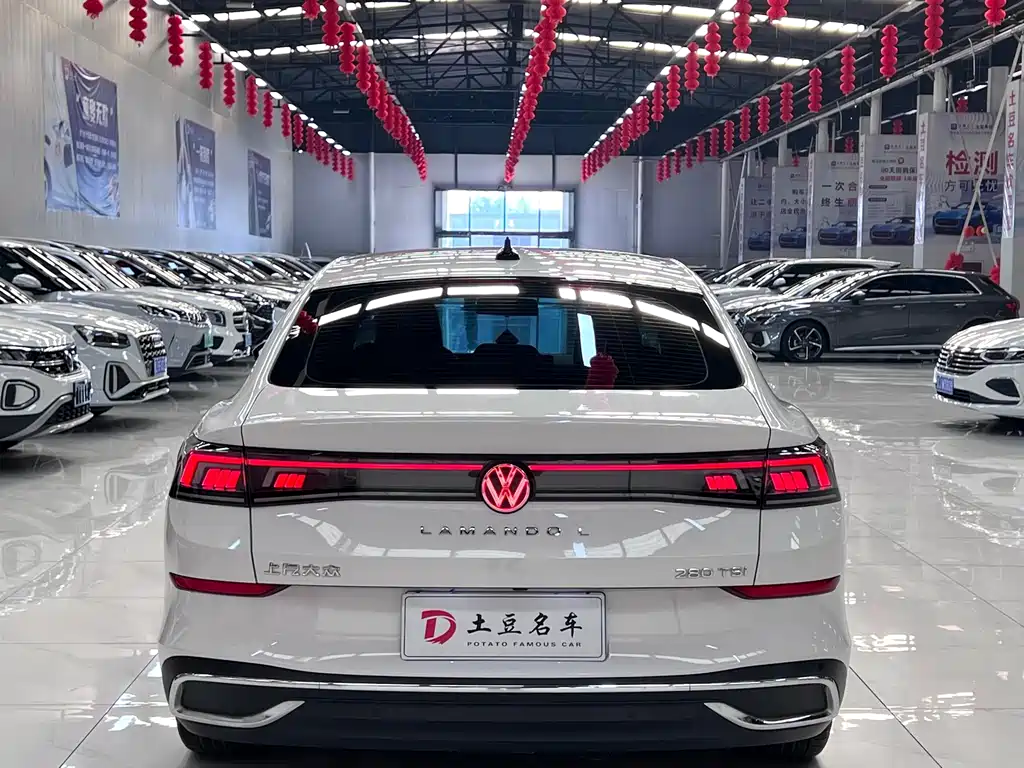Volkswagen Lamando — миниатюра 6