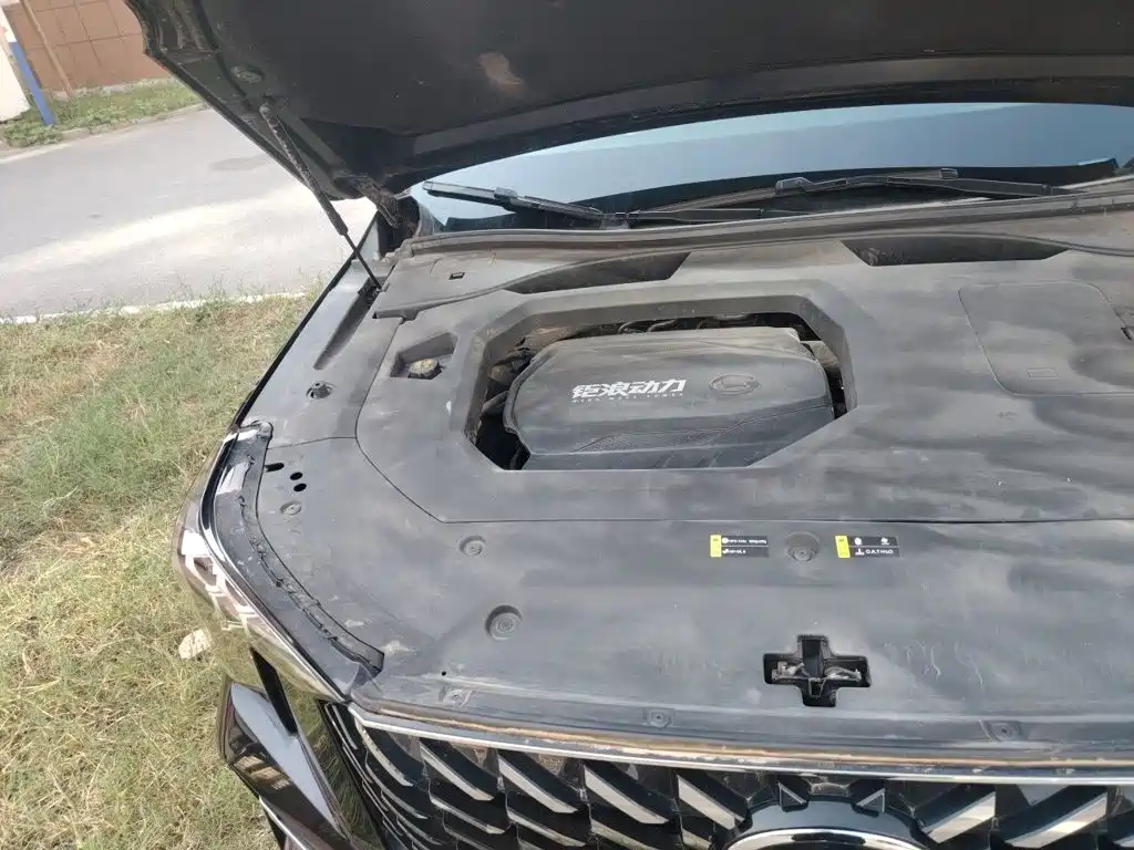 GAC Motor Trumpchi GS8 — миниатюра 20