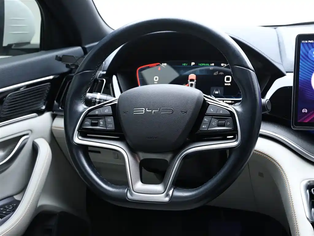 BYD SONGJIANG NEW ENERGY