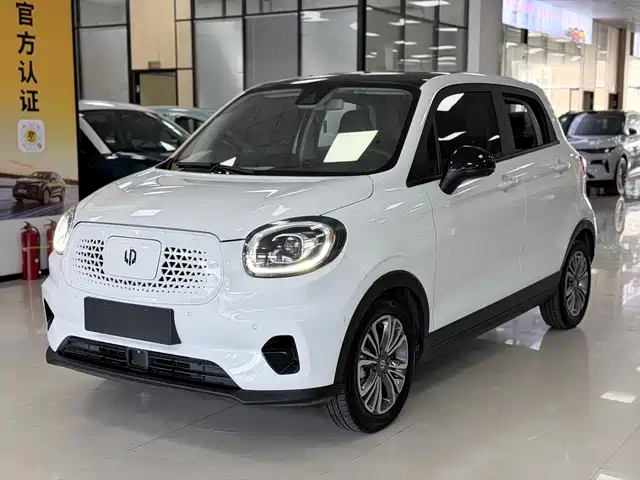 2021 Leapmotor T03
