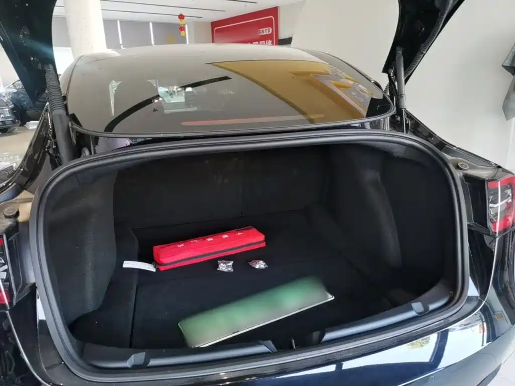 Tesla Model 3 — миниатюра 19