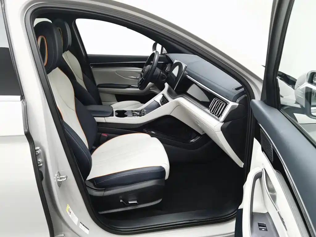 BYD PLUS New Energy — миниатюра 23