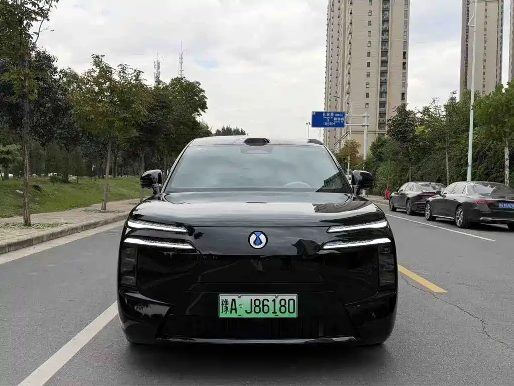 Denza Denza N8L — миниатюра 3