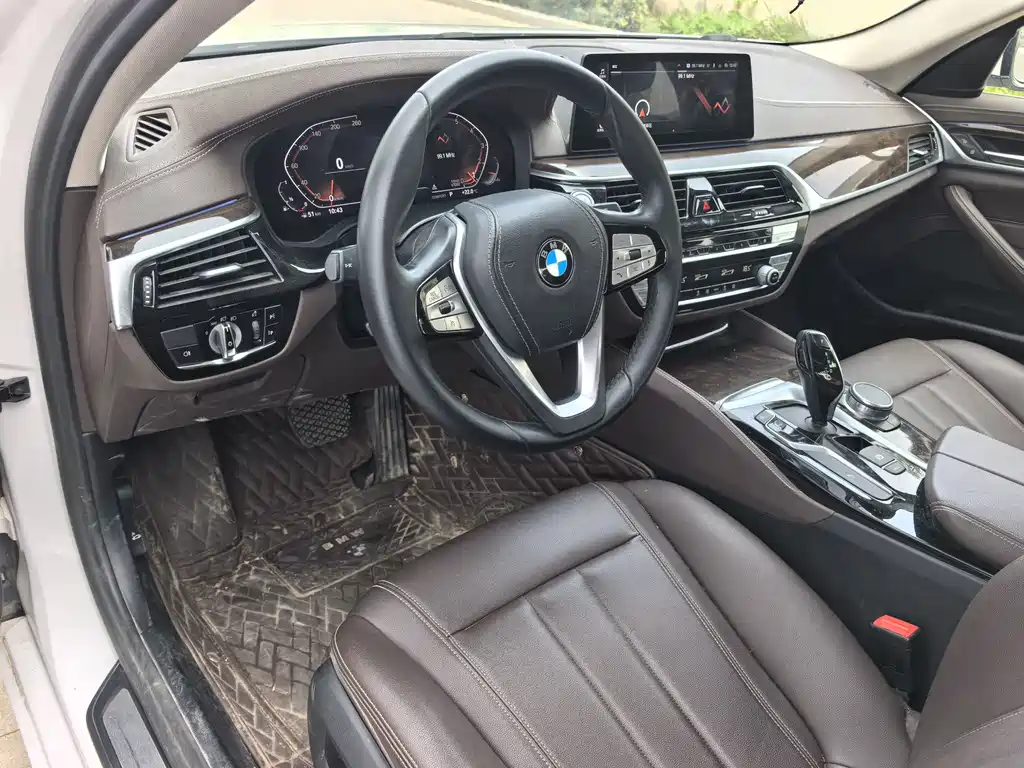 BMW 5 Series 5 2020 525Li Luxury
