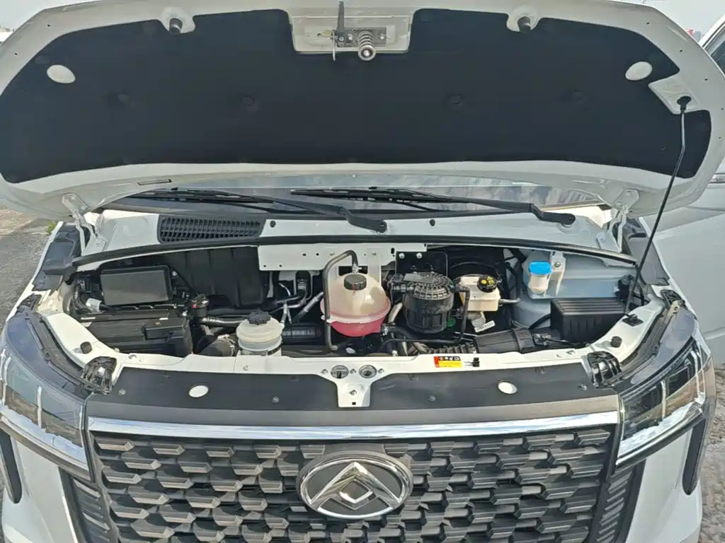 MAXUS V80 — миниатюра 20