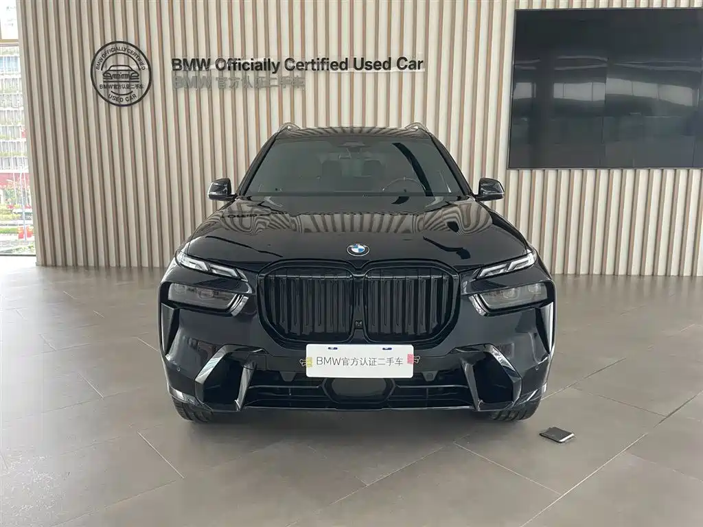 BMW X7 — миниатюра 2
