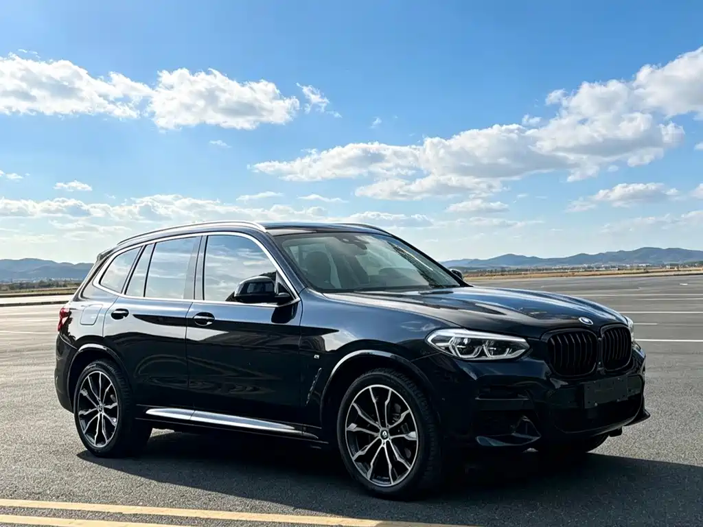 BMW X3 — миниатюра 7