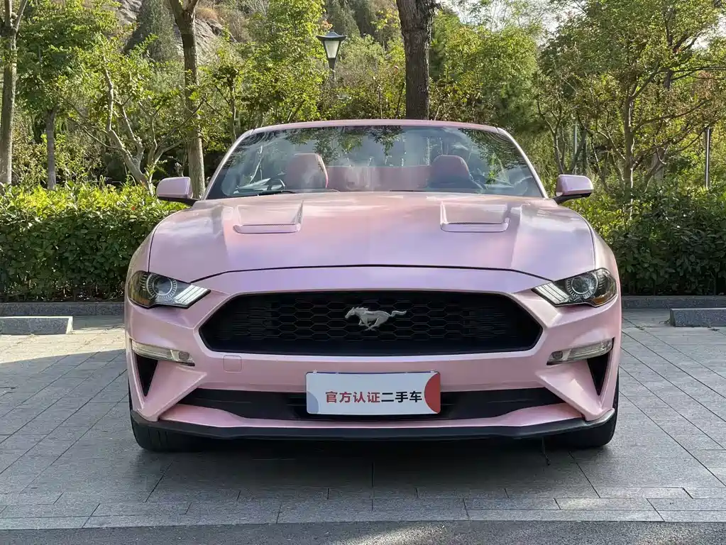 Ford Mustang — миниатюра 2