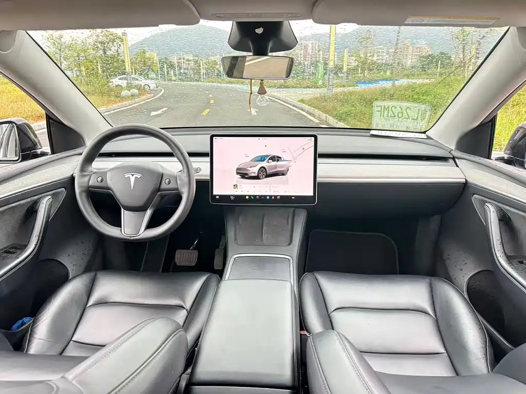 Tesla Model Y — миниатюра 13