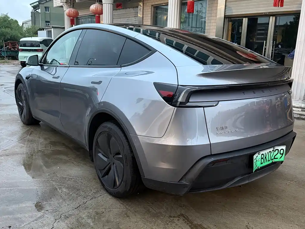 Tesla Model Y — миниатюра 6