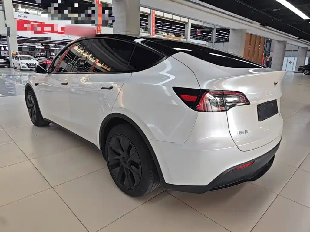 Tesla Model Y — миниатюра 5