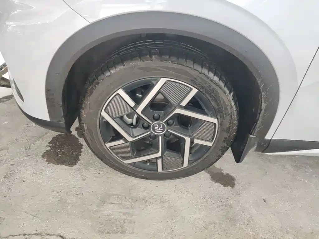 BYD Yuan Plus — миниатюра 23