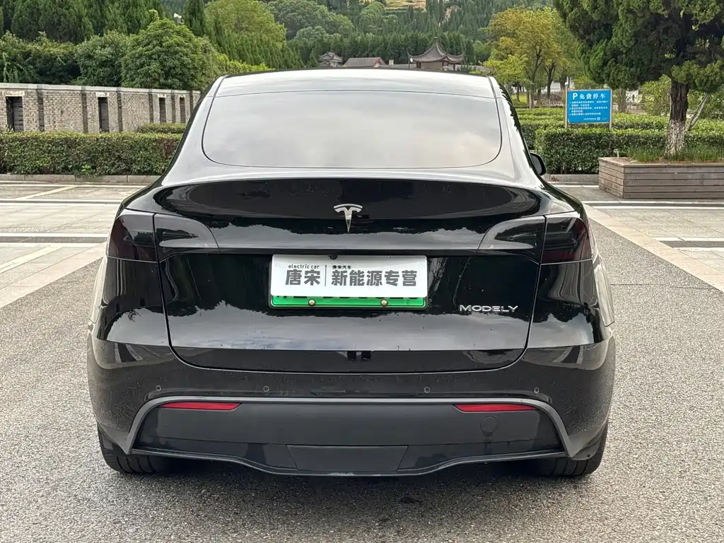 Tesla Model Y — миниатюра 6