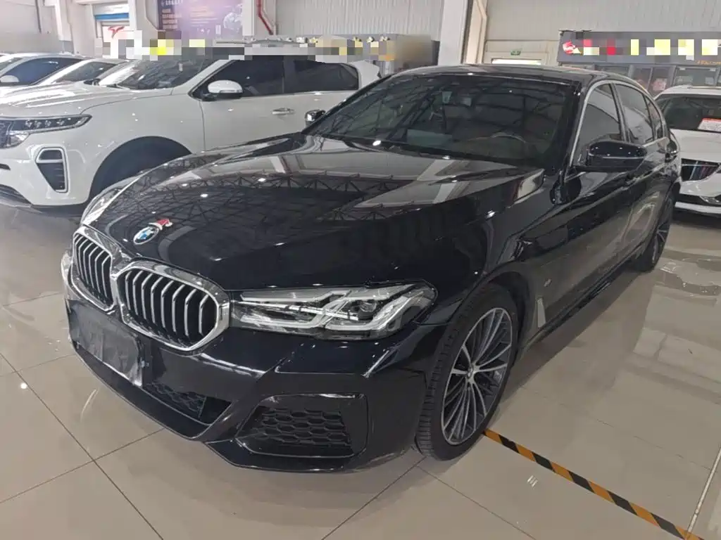 BMW 5 Series — миниатюра 2