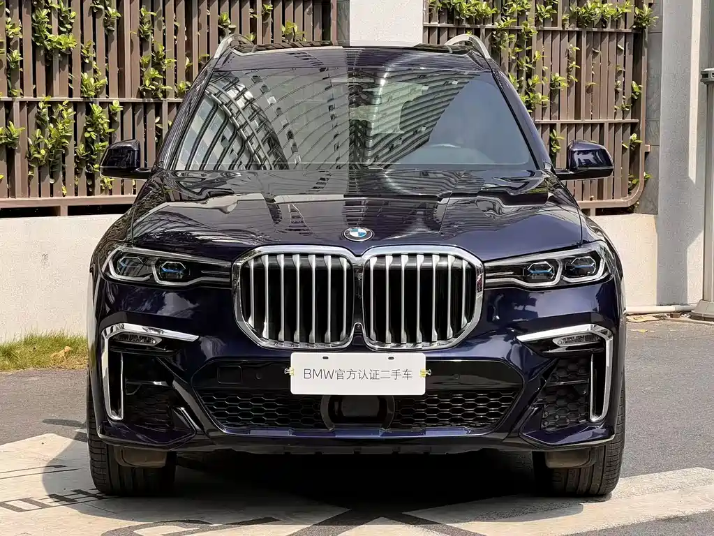 BMW X7 — миниатюра 2