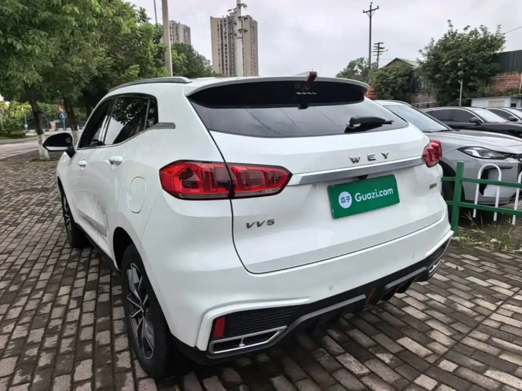 Wey Wey VV5 — миниатюра 5