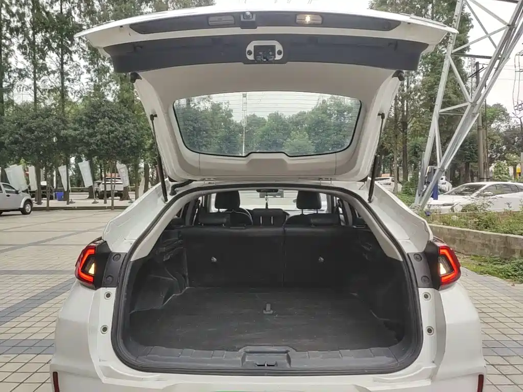 Venucia T90 — миниатюра 19
