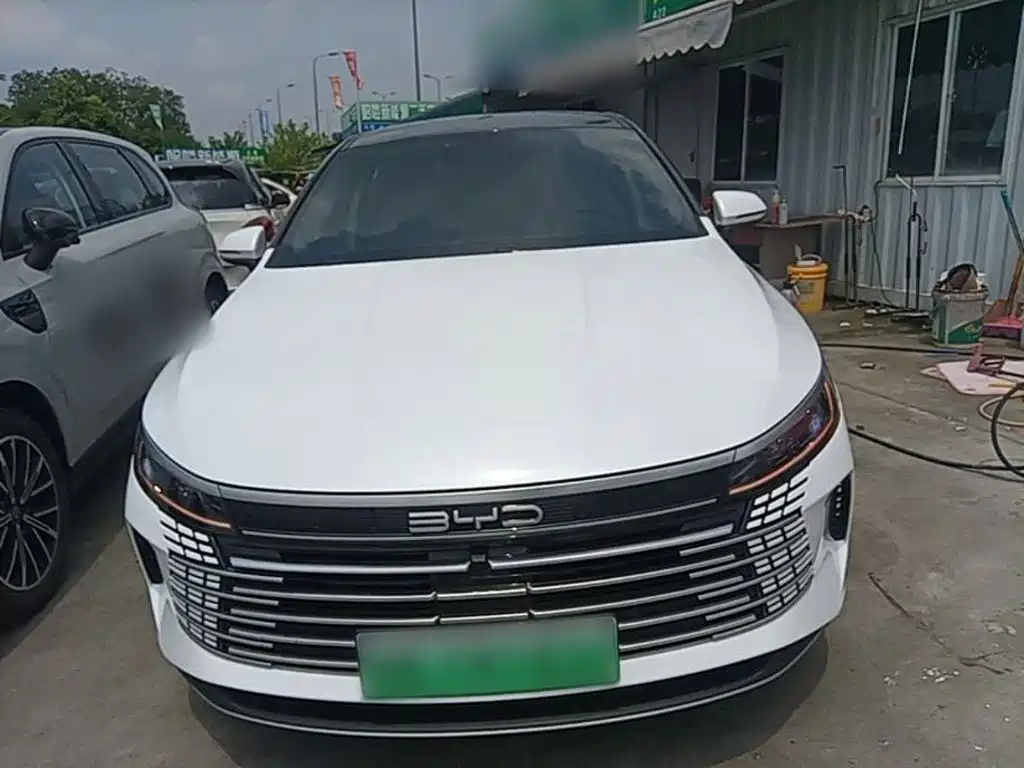 BYD Destroyer 05 2024 DM-i 55KM Luxury