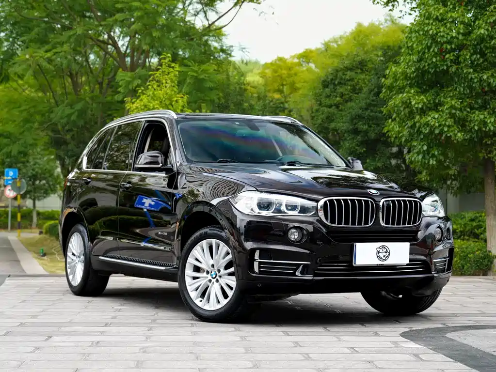 BMW X5 (Import) — миниатюра 3
