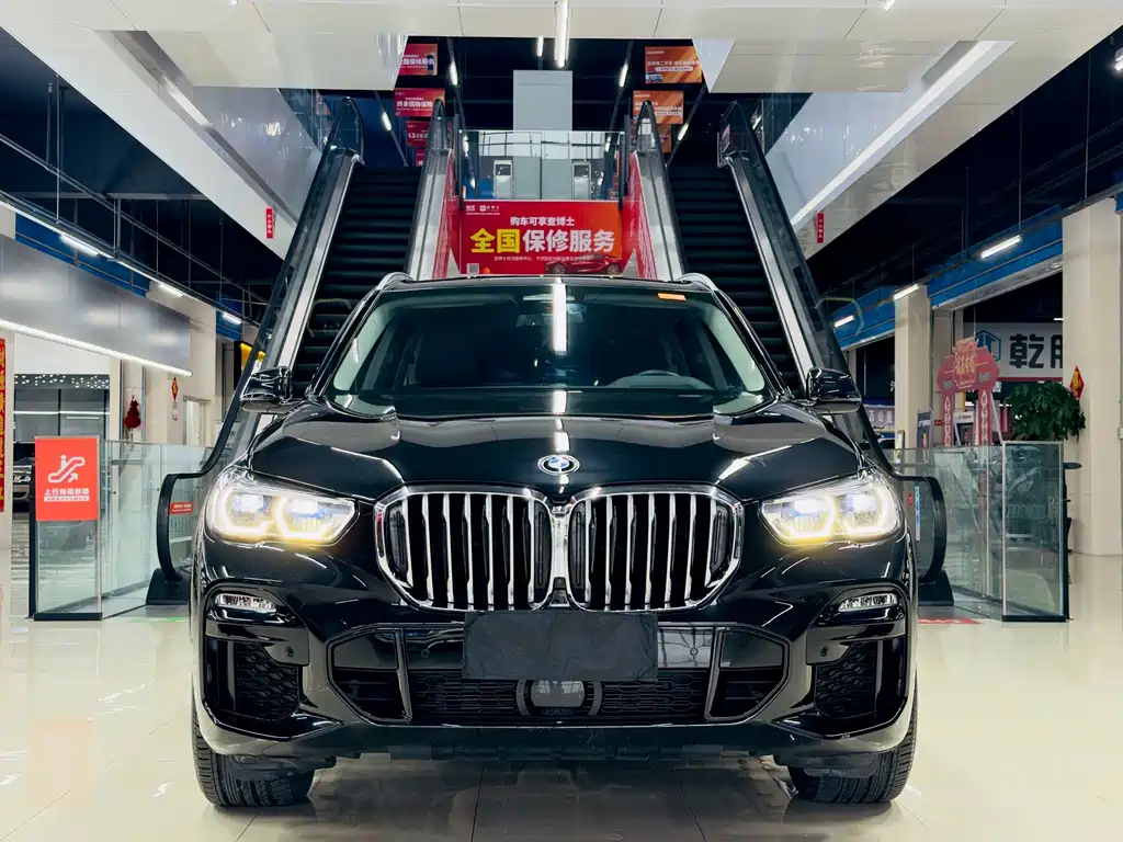 BMW X5 (Import) — миниатюра 2