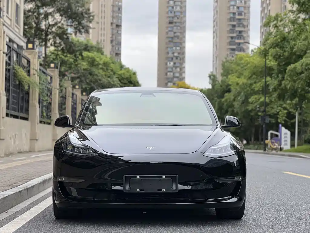 Tesla Model 3 — миниатюра 2
