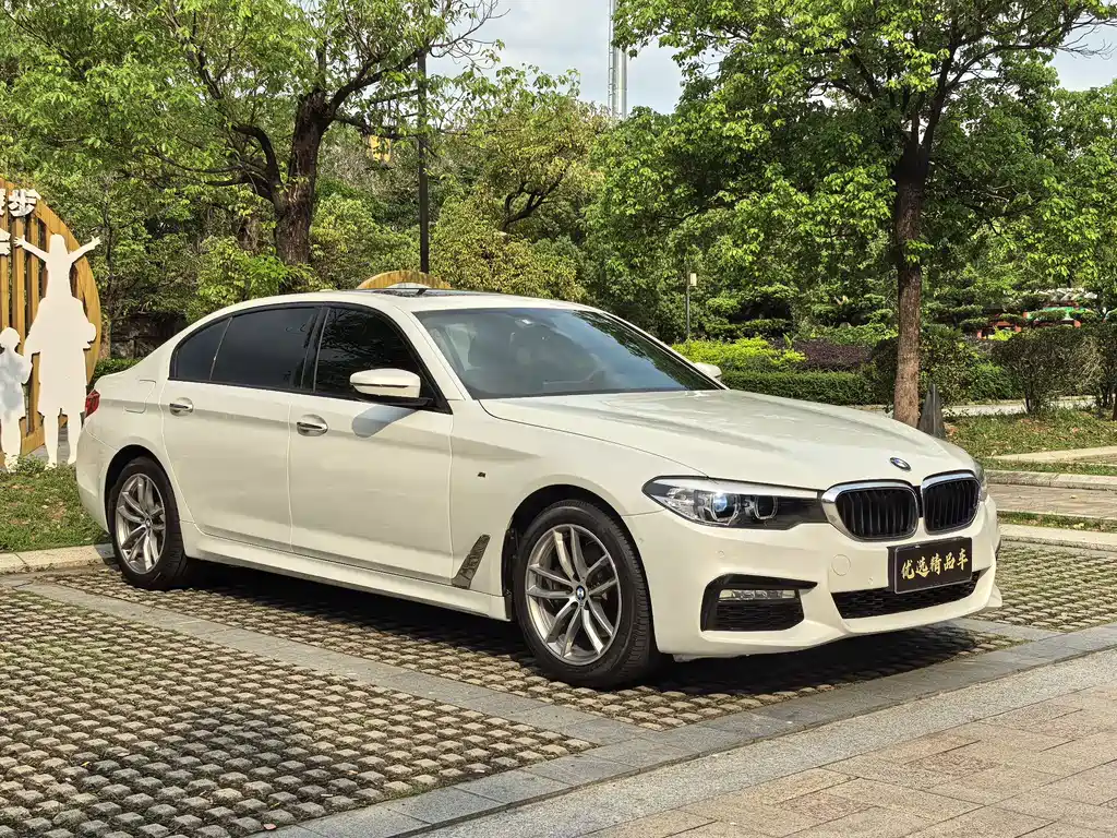 BMW 5 Series 5 2018 525Li M Sport