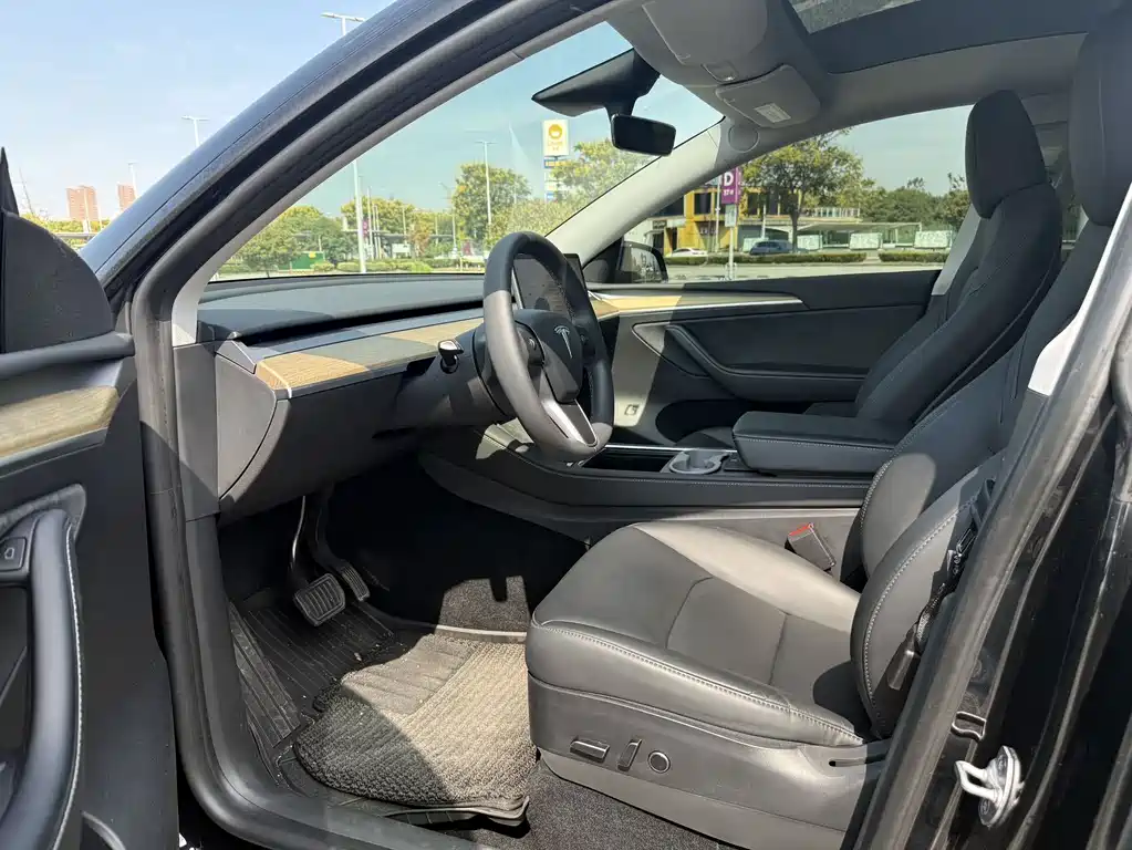 Tesla Model Y — миниатюра 9