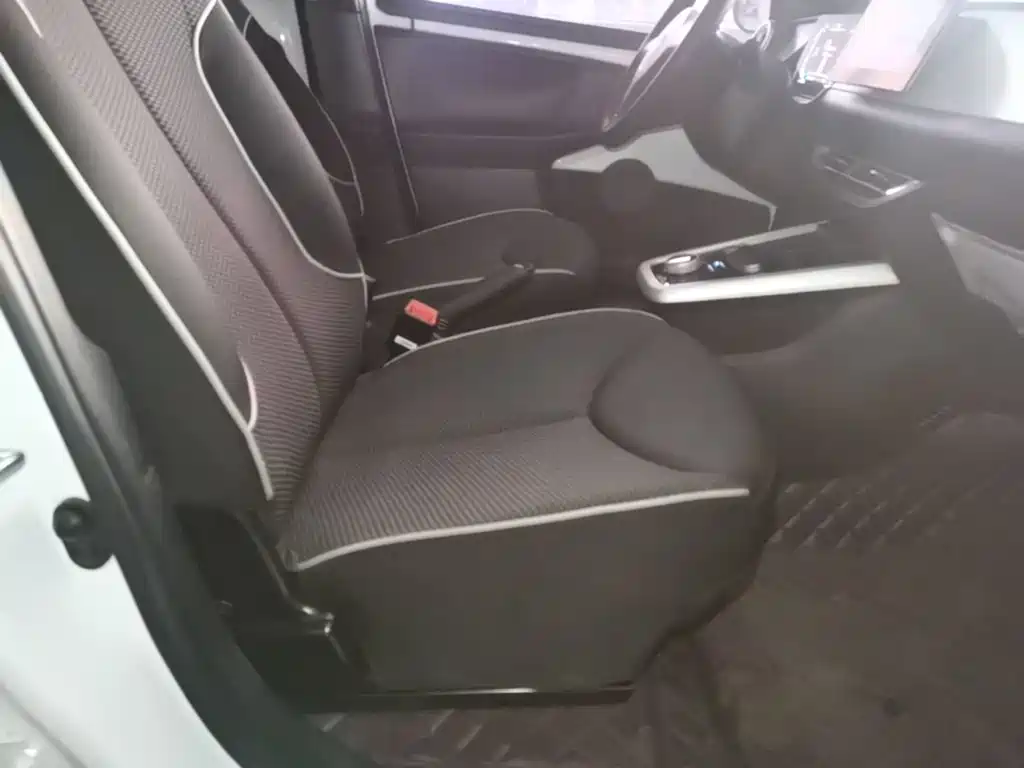 BYD e1 — миниатюра 25
