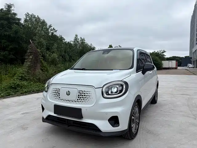 2020 Leapmotor T03
