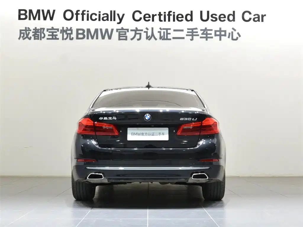 BMW 5 Series 5 2020 530Li Lead Luxury